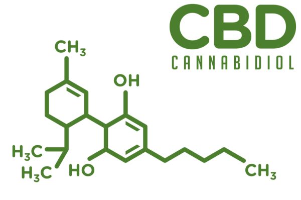 The EndoCannabinoid System