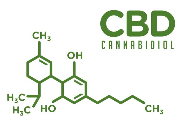 The EndoCannabinoid System