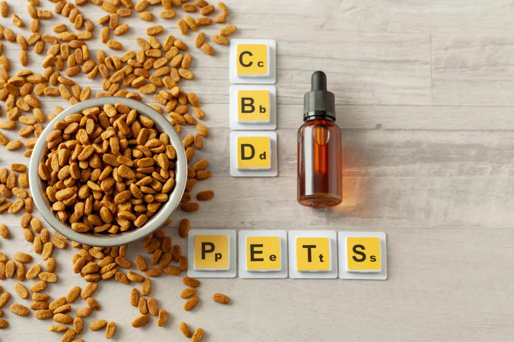 CBD for pets