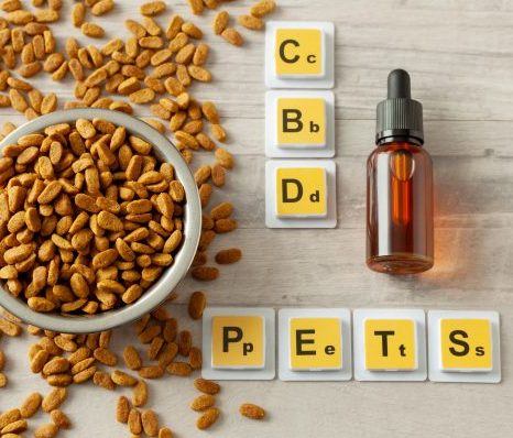 CBD for pets