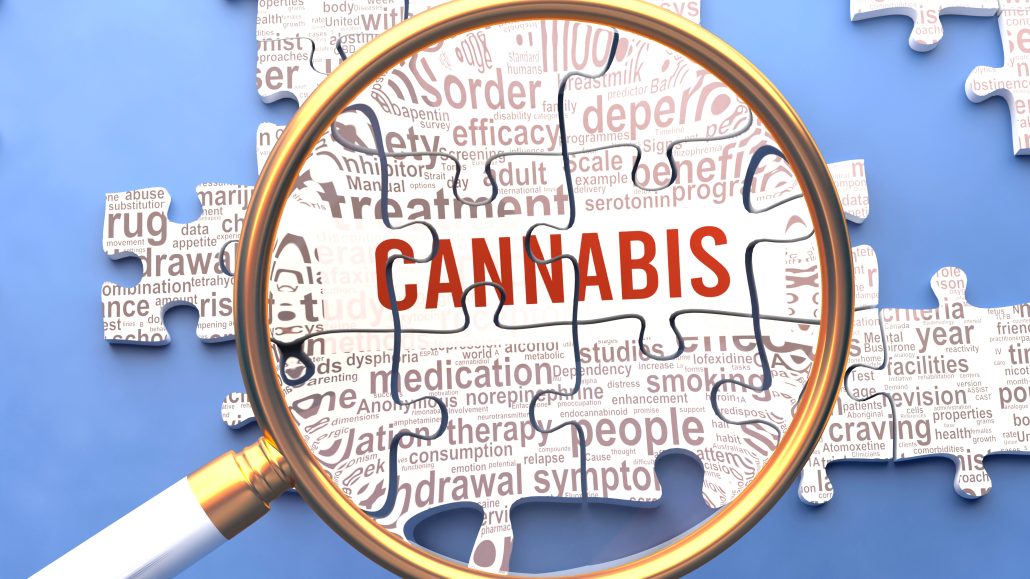 Cannabis,Being,Closely,Examined,Along,With,Multiple,Vital,Concepts,And